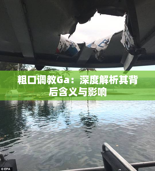 粗口调教Ga：深度解析其背后含义与影响