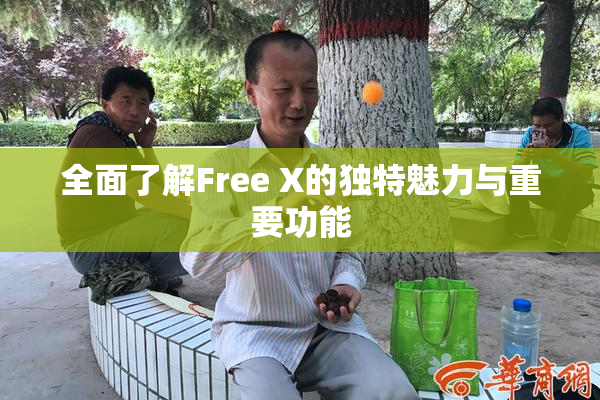 全面了解Free X的独特魅力与重要功能