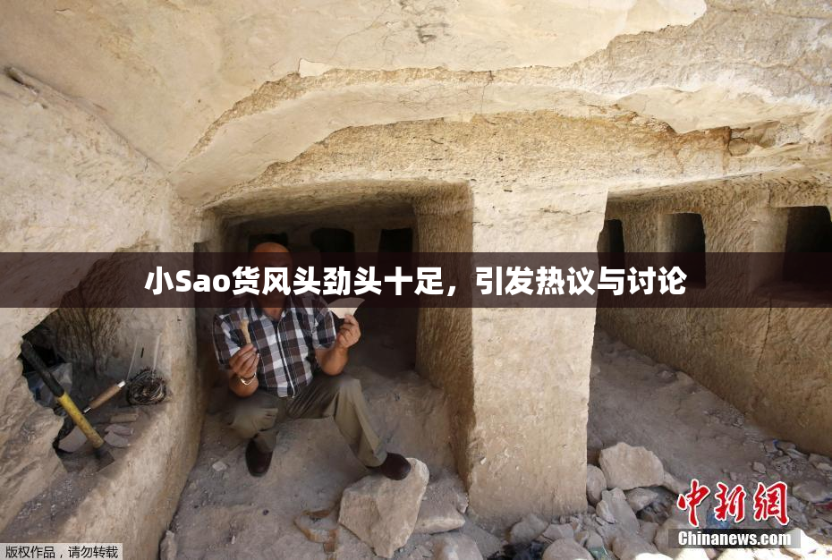 小Sao货风头劲头十足，引发热议与讨论
