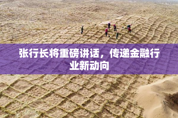 张行长将重磅讲话，传递金融行业新动向