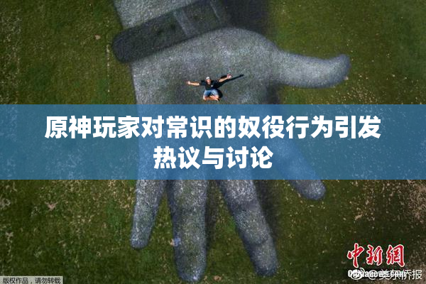 原神玩家对常识的奴役行为引发热议与讨论