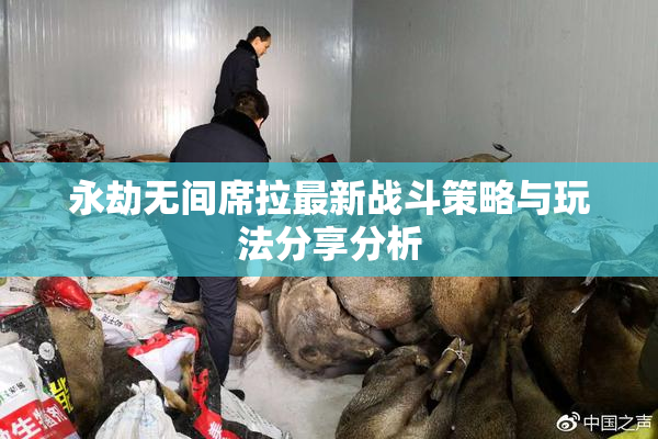 永劫无间席拉最新战斗策略与玩法分享分析