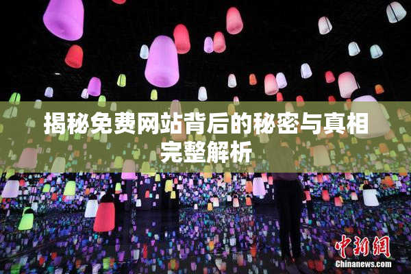 揭秘免费网站背后的秘密与真相完整解析