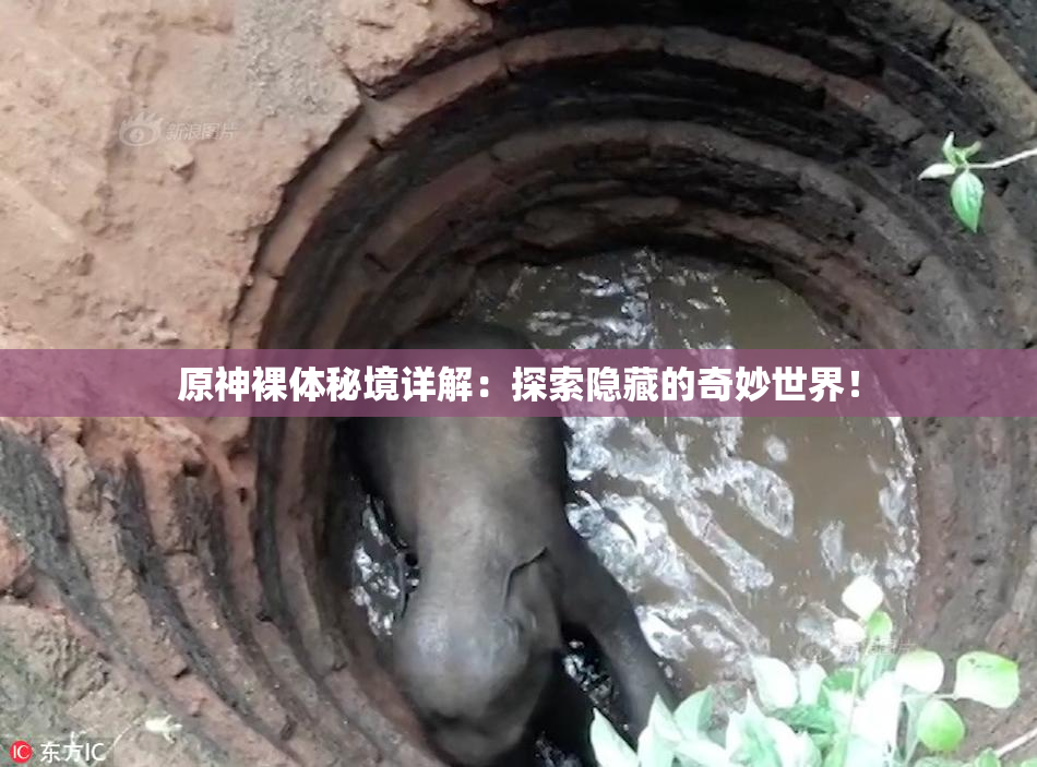 原神裸体秘境详解：探索隐藏的奇妙世界！