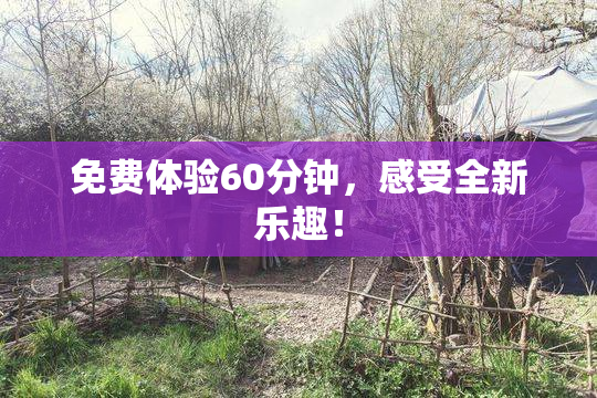 免费体验60分钟，感受全新乐趣！