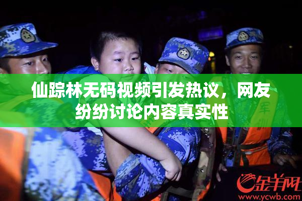 仙踪林无码视频引发热议，网友纷纷讨论内容真实性