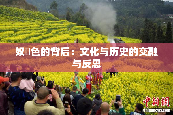 奴隷色的背后：文化与历史的交融与反思