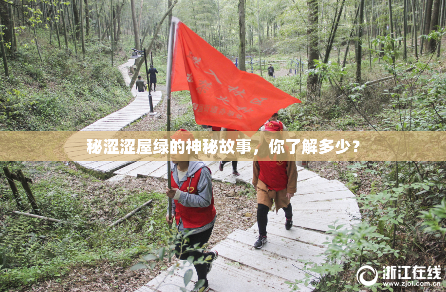 秘涩涩屋绿的神秘故事，你了解多少？