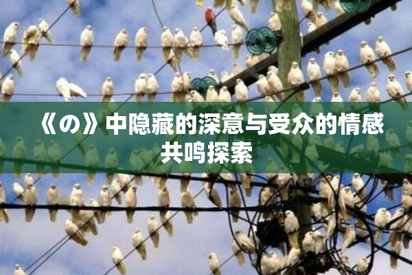 《の》中隐藏的深意与受众的情感共鸣探索