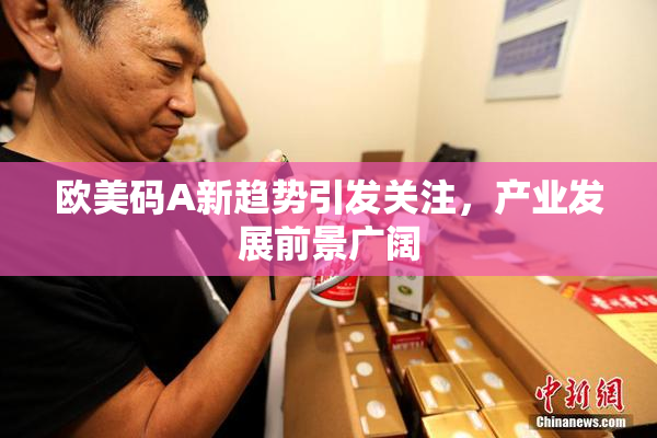 欧美码A新趋势引发关注，产业发展前景广阔