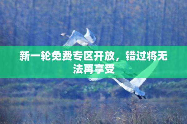 新一轮免费专区开放，错过将无法再享受