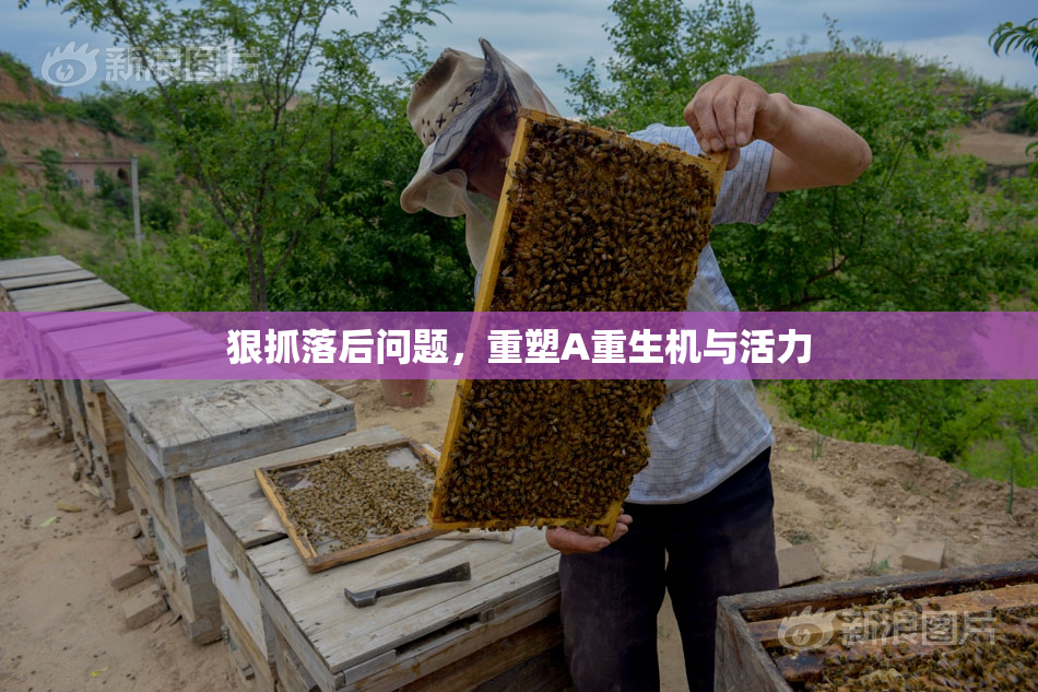 狠抓落后问题，重塑A重生机与活力