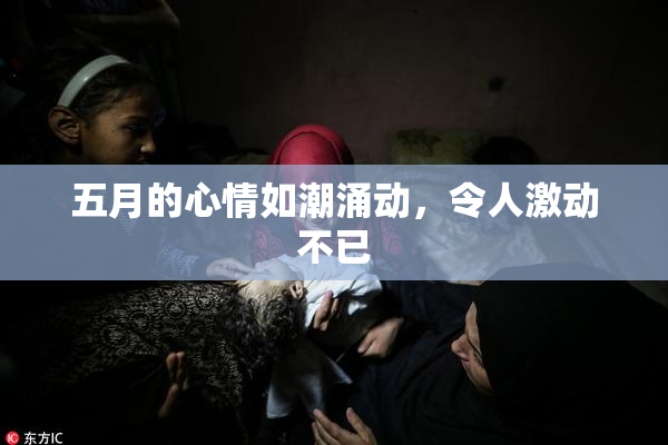 五月的心情如潮涌动，令人激动不已