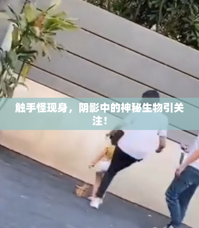 触手怪现身，阴影中的神秘生物引关注！