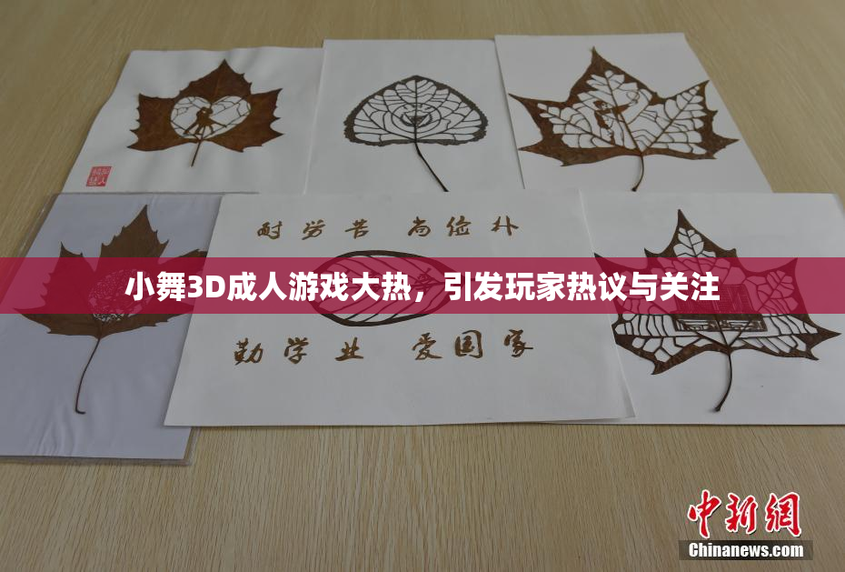 小舞3D成人游戏大热，引发玩家热议与关注