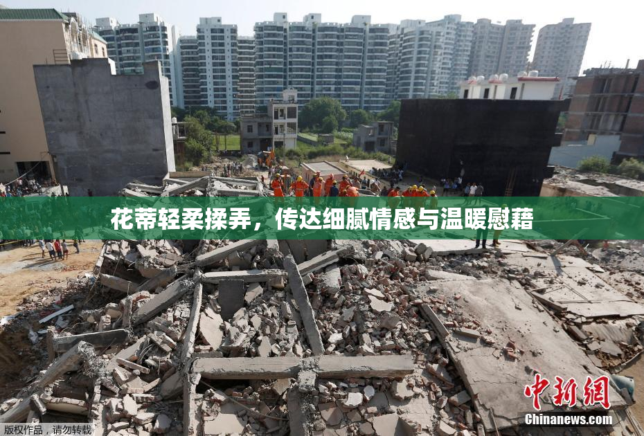 花蒂轻柔揉弄，传达细腻情感与温暖慰藉