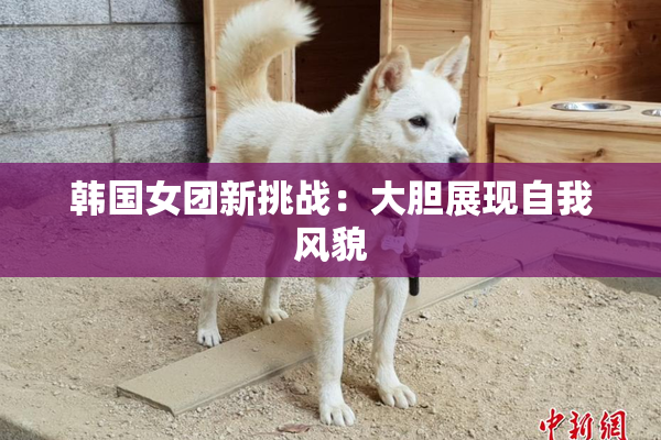 韩国女团新挑战：大胆展现自我风貌