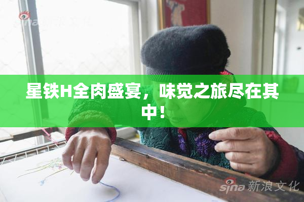 星铁H全肉盛宴，味觉之旅尽在其中！