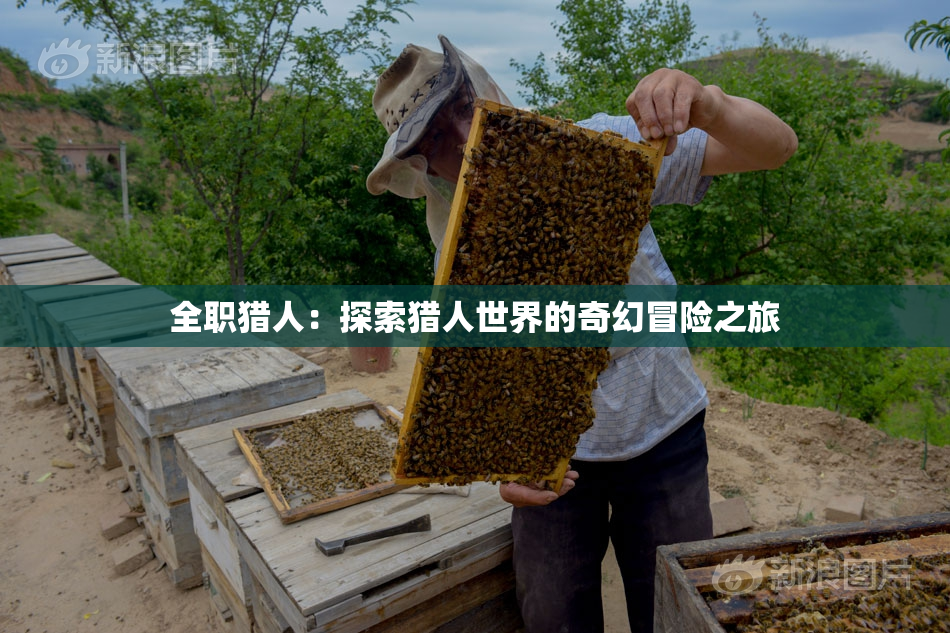 全职猎人：探索猎人世界的奇幻冒险之旅