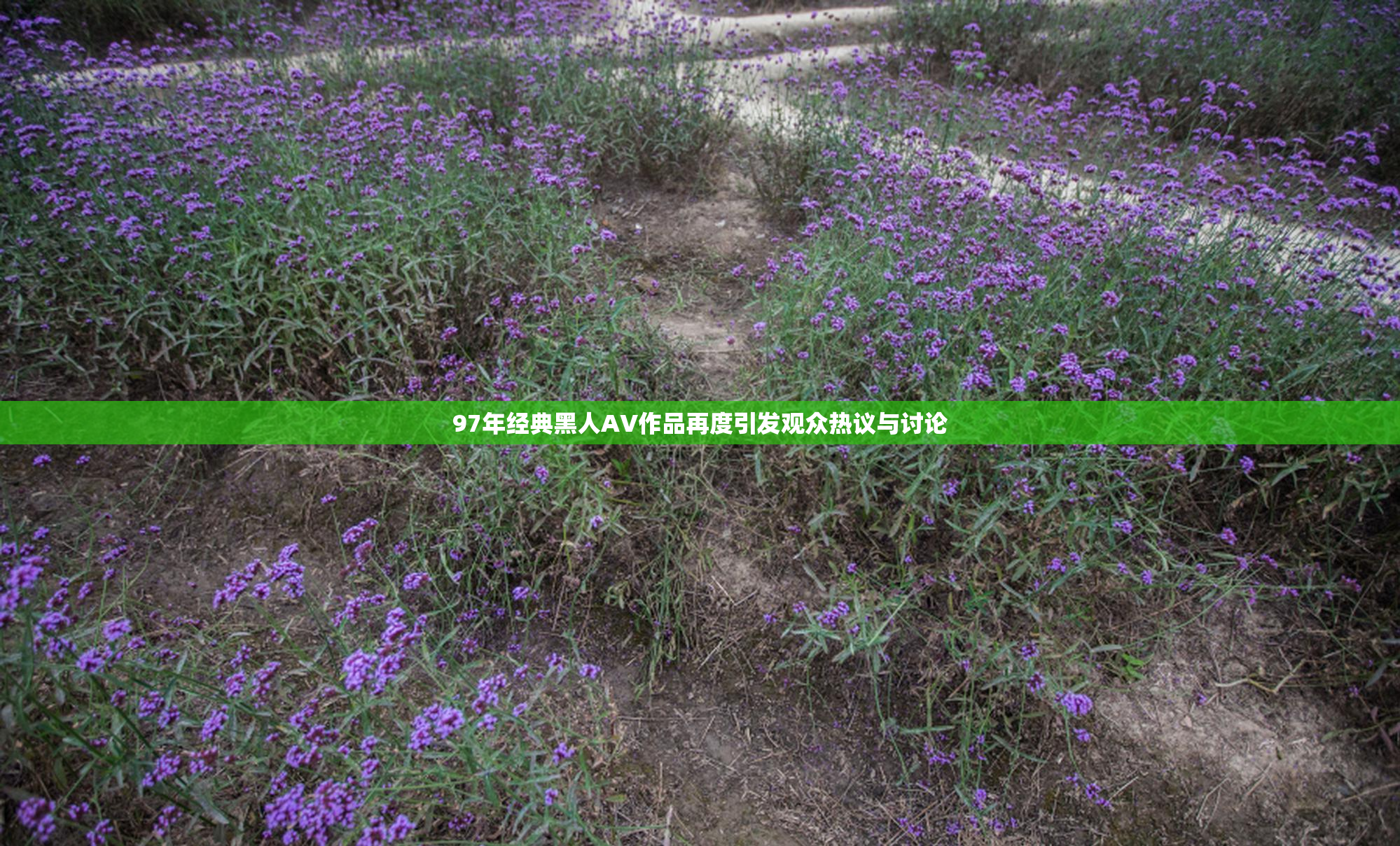 97年经典黑人AV作品再度引发观众热议与讨论