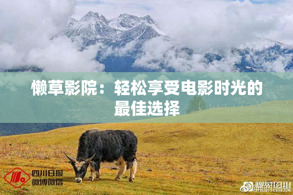 懒草影院：轻松享受电影时光的最佳选择