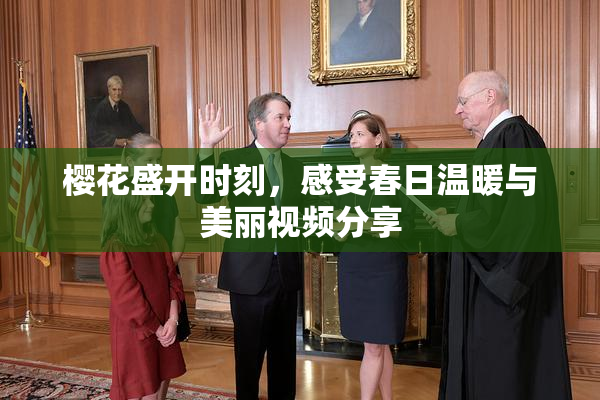 樱花盛开时刻，感受春日温暖与美丽视频分享