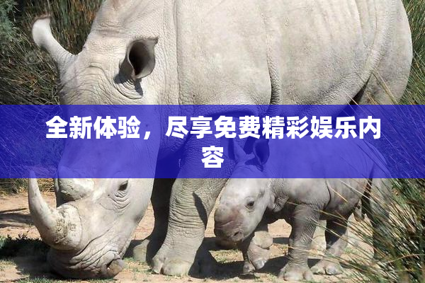 全新体验，尽享免费精彩娱乐内容