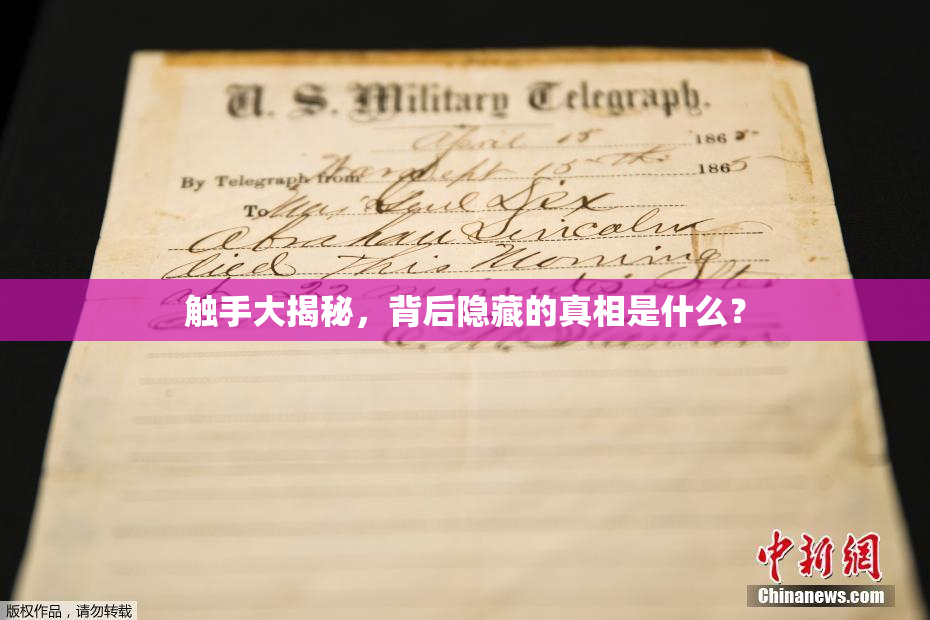 触手大揭秘，背后隐藏的真相是什么？