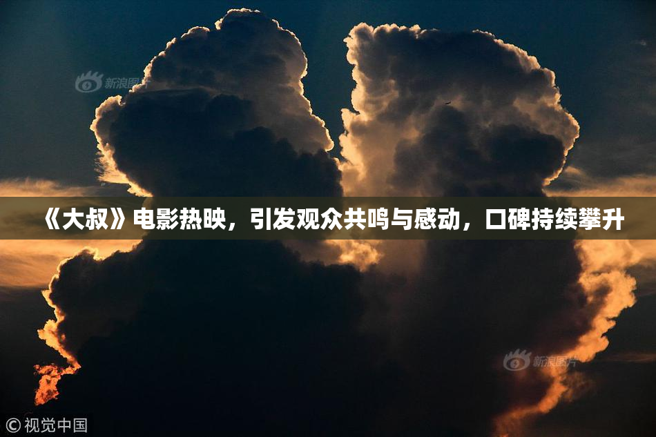 《大叔》电影热映，引发观众共鸣与感动，口碑持续攀升