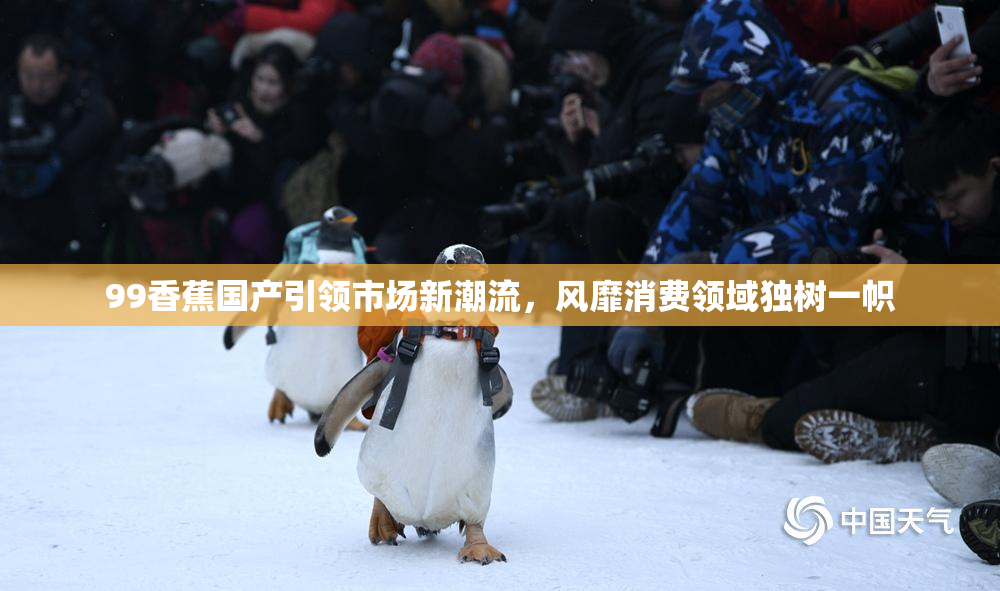 99香蕉国产引领市场新潮流，风靡消费领域独树一帜