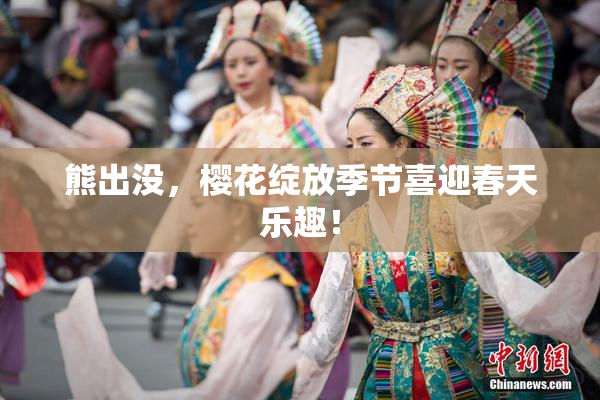 熊出没，樱花绽放季节喜迎春天乐趣！