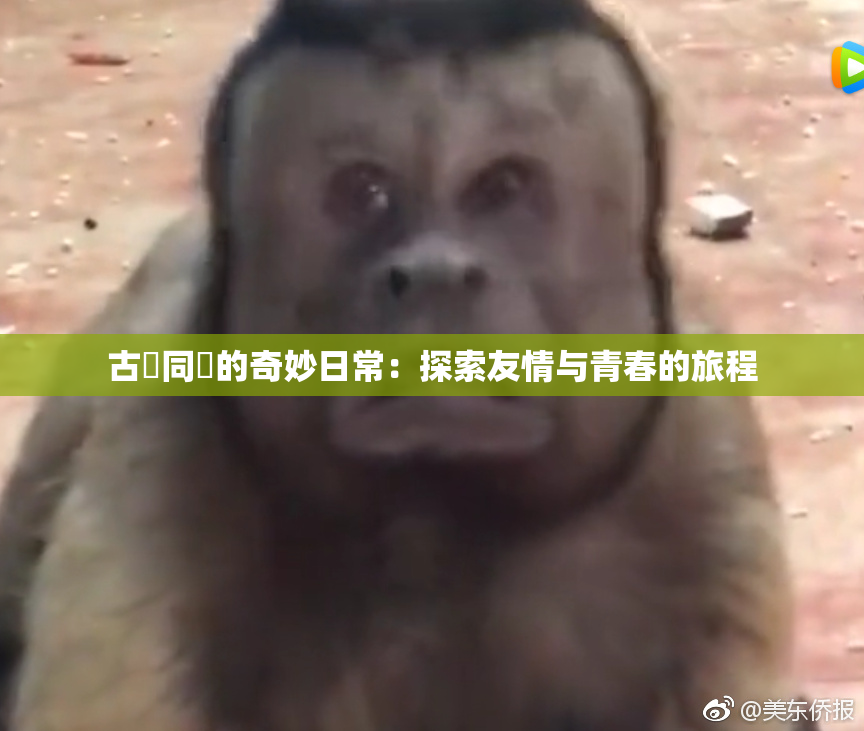 古見同學的奇妙日常：探索友情与青春的旅程