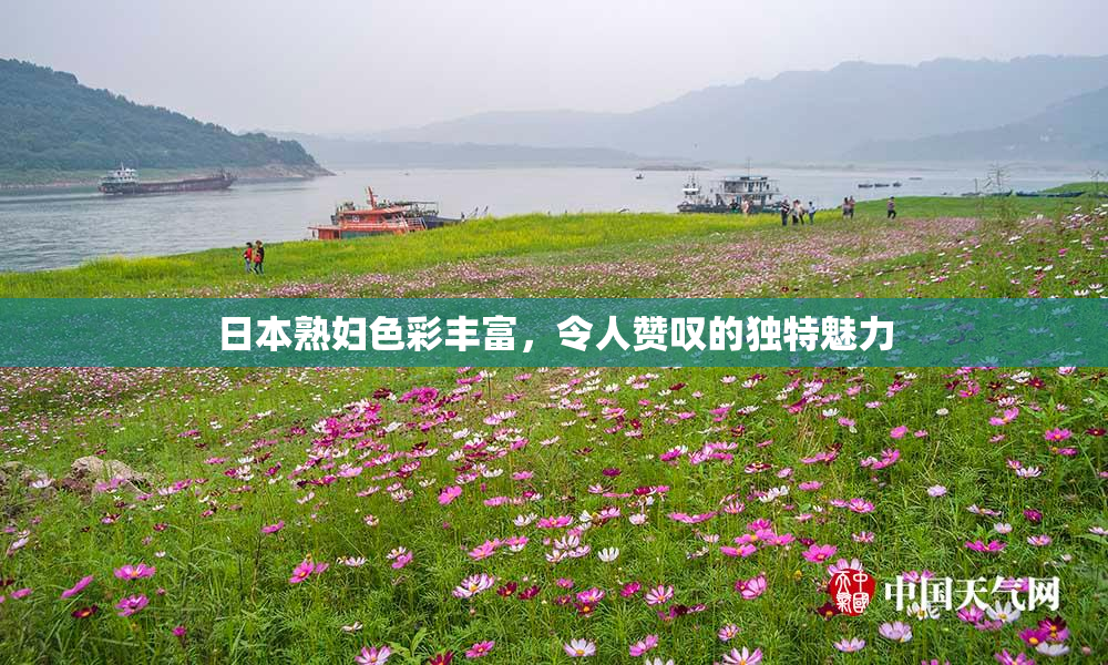日本熟妇色彩丰富，令人赞叹的独特魅力