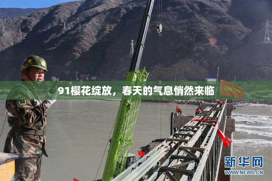 91樱花绽放，春天的气息悄然来临