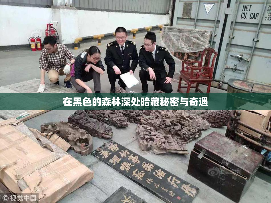 在黑色的森林深处暗藏秘密与奇遇