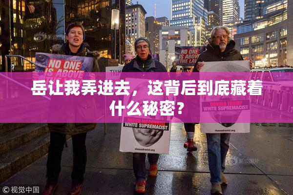 岳让我弄进去，这背后到底藏着什么秘密？