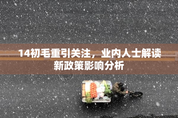 14初毛重引关注，业内人士解读新政策影响分析