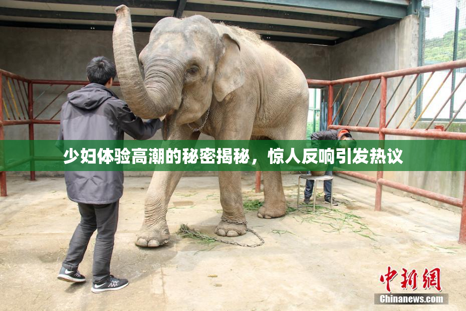少妇体验高潮的秘密揭秘，惊人反响引发热议