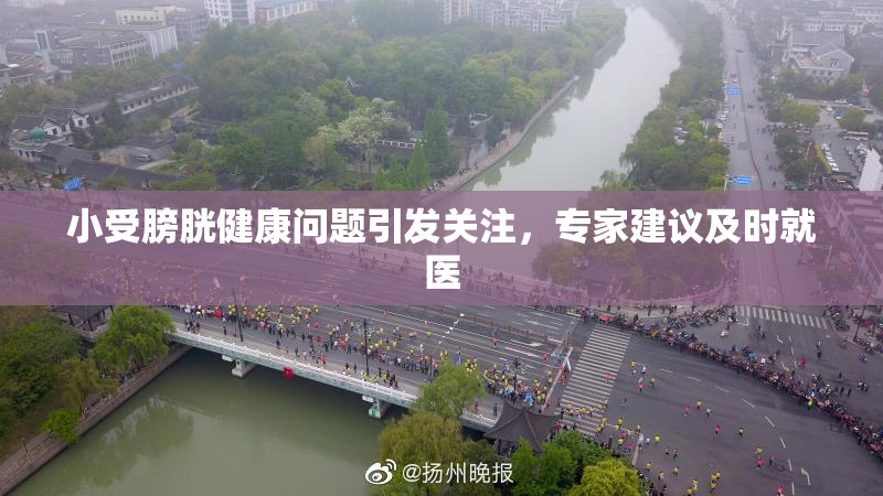小受膀胱健康问题引发关注，专家建议及时就医