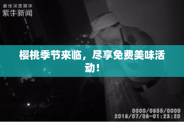 樱桃季节来临，尽享免费美味活动！