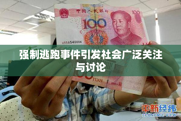 强制逃跑事件引发社会广泛关注与讨论