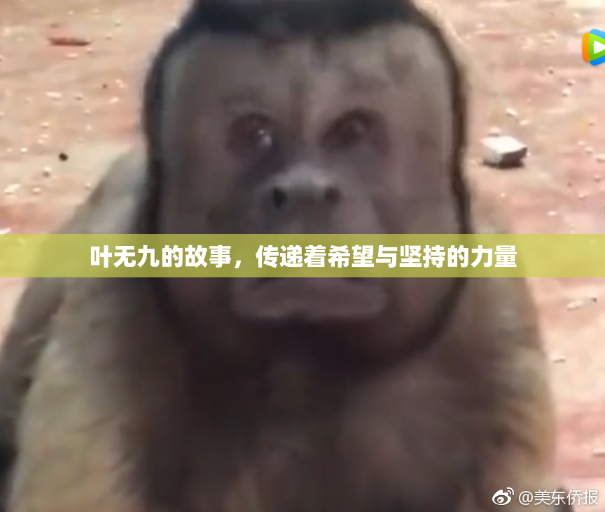 叶无九的故事，传递着希望与坚持的力量