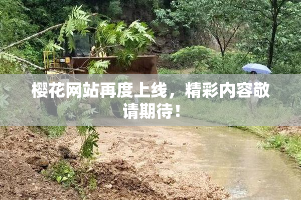 樱花网站再度上线，精彩内容敬请期待！