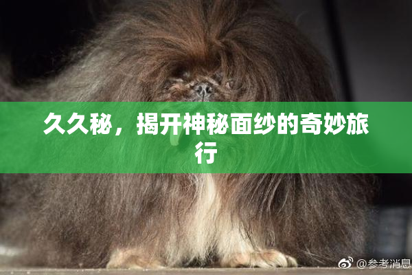 久久秘，揭开神秘面纱的奇妙旅行