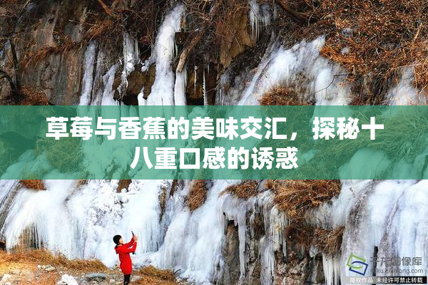 草莓与香蕉的美味交汇，探秘十八重口感的诱惑
