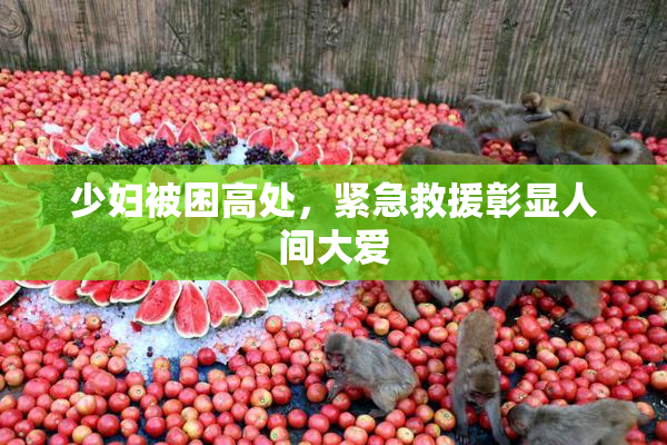 少妇被困高处，紧急救援彰显人间大爱