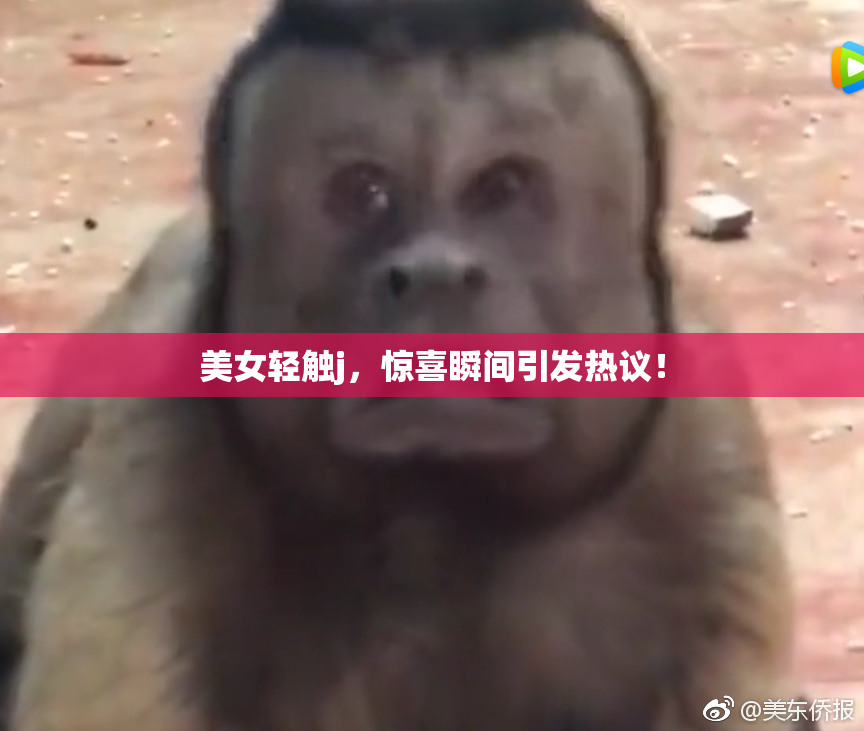 美女轻触j，惊喜瞬间引发热议！