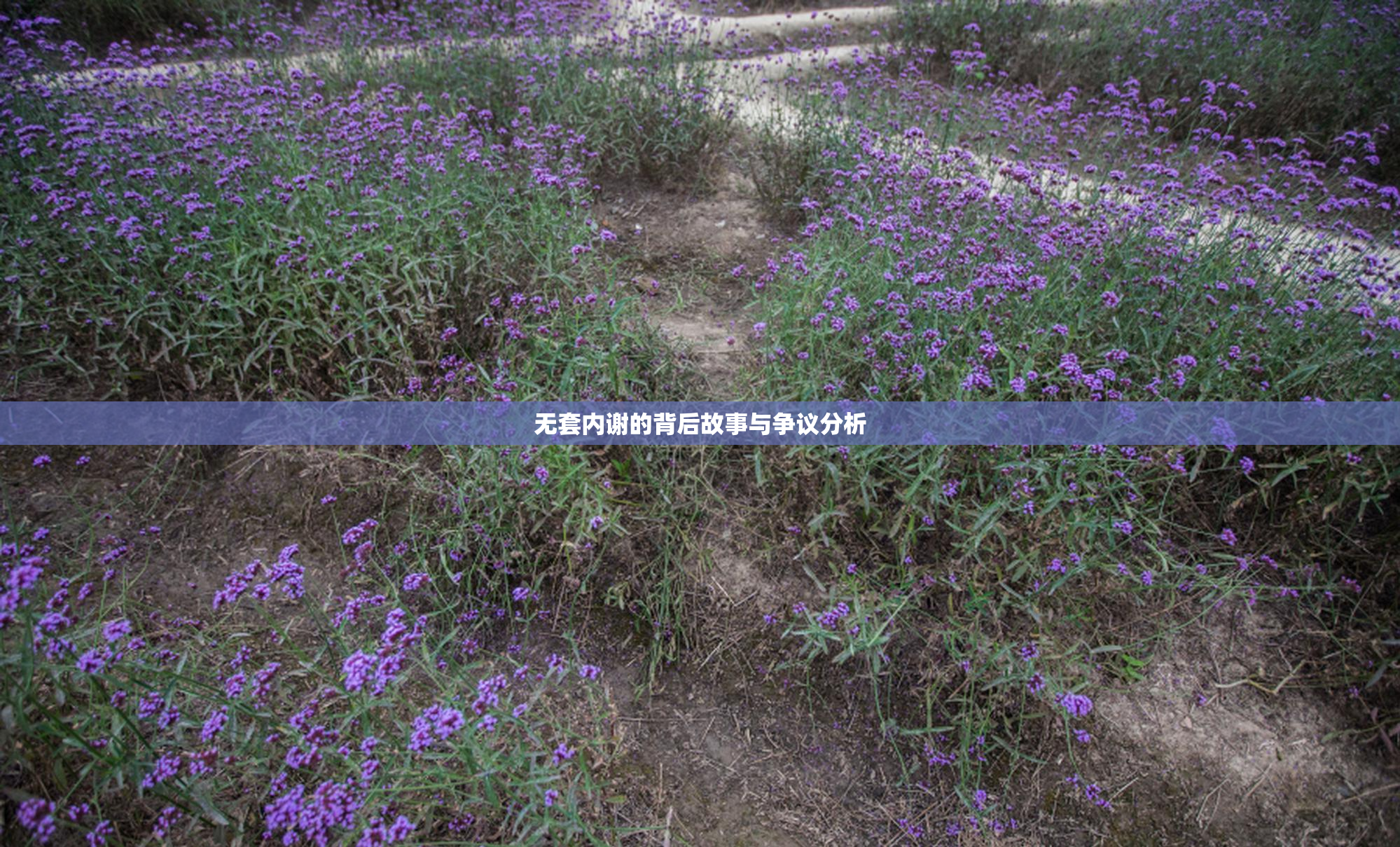无套内谢的背后故事与争议分析