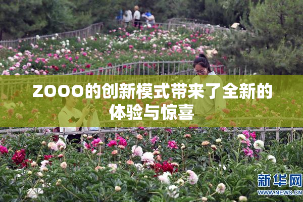 ZOOO的创新模式带来了全新的体验与惊喜