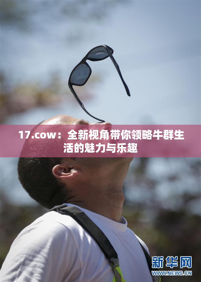 17.cow：全新视角带你领略牛群生活的魅力与乐趣